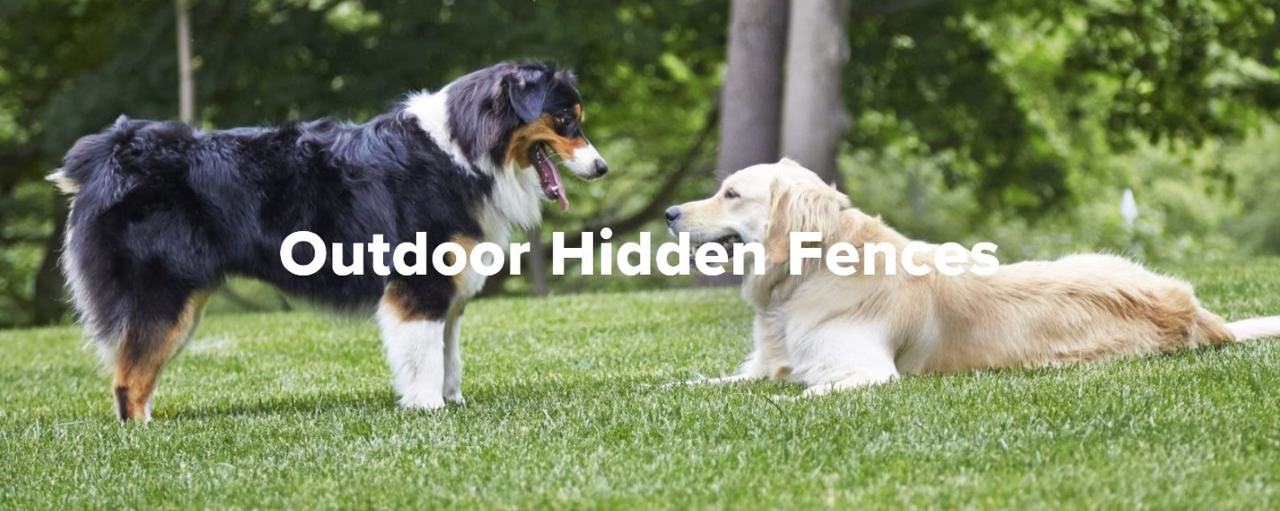 Frihed og sikkerhed til dig og din hund