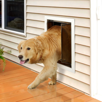 PlexiDor saloon style K9 COMPOSITE panels - Dog Door